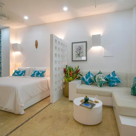 El Cactus Luxury Apartments In Historic Center-3